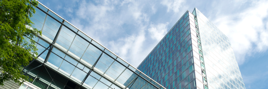 1. Beyond Numbers: How Scale-Up CFOs Drive Growth