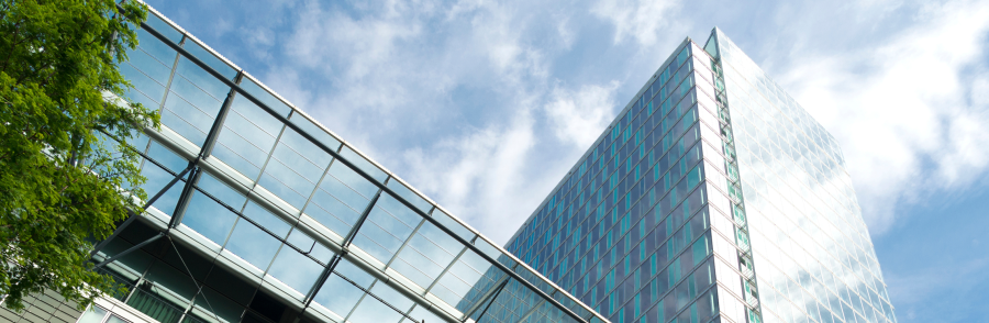 1. Beyond Numbers: How Scale-Up CFOs Drive Growth